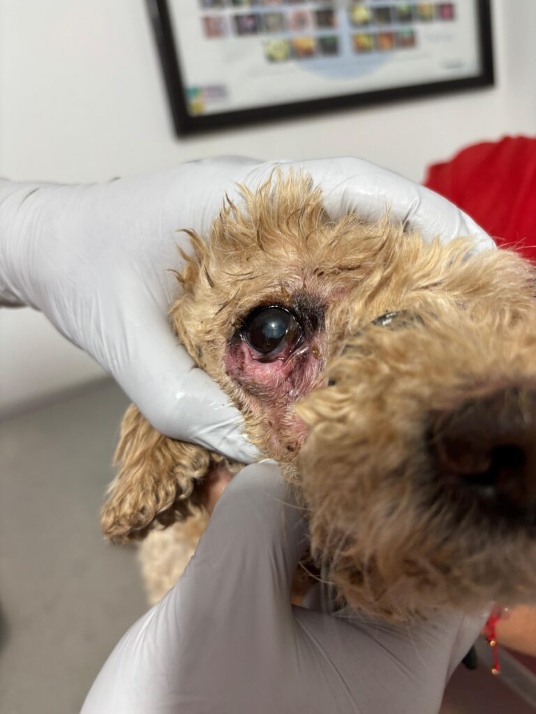 Imagen de WhatsApp 2025-08-01 a las 14.58.55_9409a1be